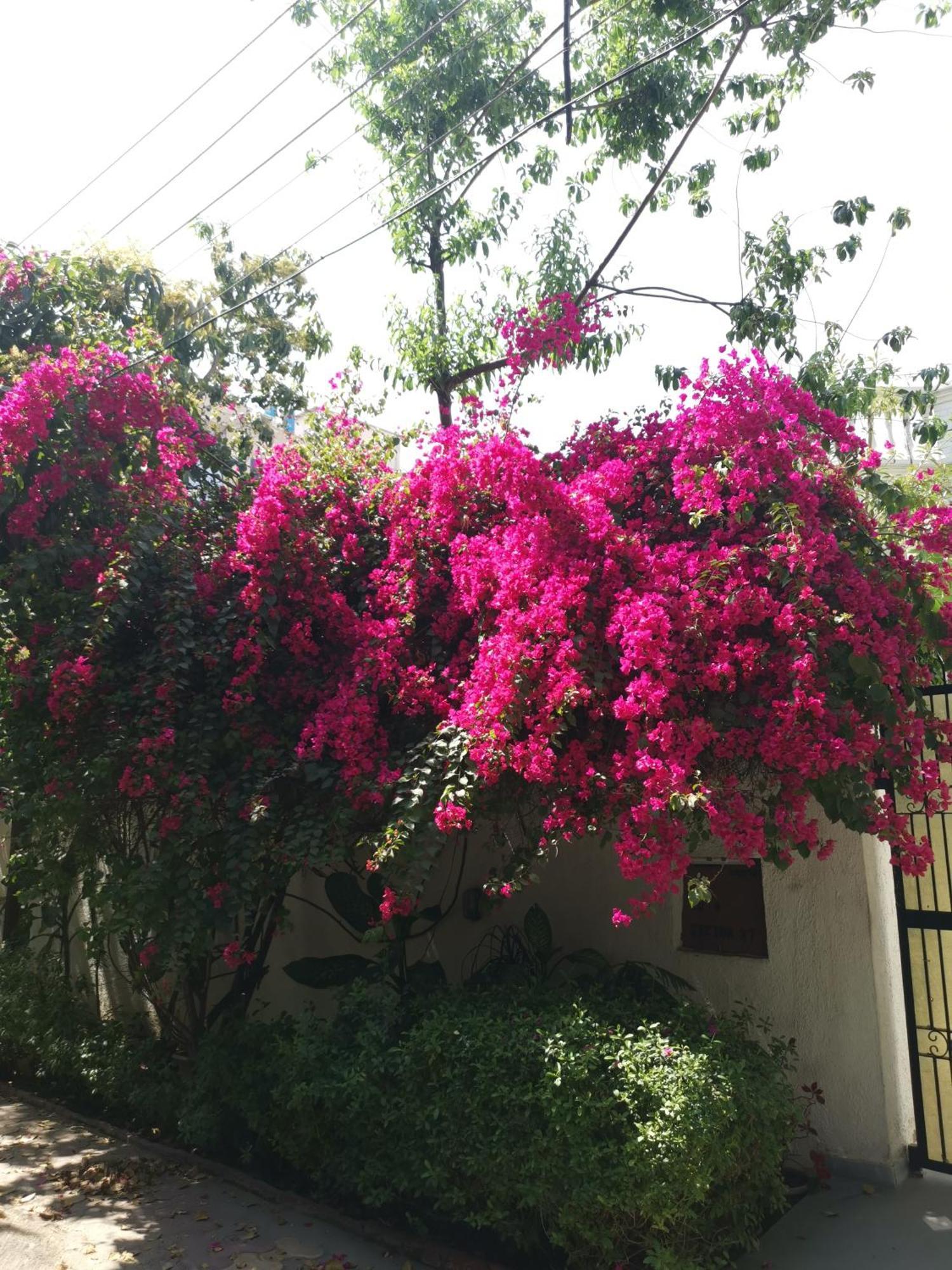 Hotel Pk Residency Noida Buitenkant foto